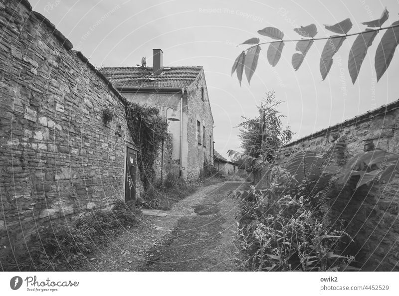 Old miners' settlement Alley Right ahead Inhabited Working class district Narrow Street Dark Wall (building) Wall (barrier) House (Residential Structure)