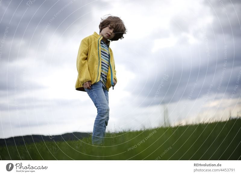 Boy in a meadow Child Nature Infancy Environment naturally Human being Boy (child) Environmental protection Meadow Exterior shot no desire Skeptical critical