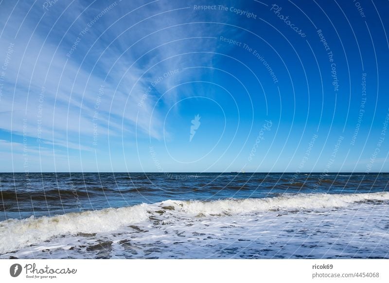 Waves on the Baltic Sea coast near Nienhagen Beach Ocean Break water Water Nature Landscape Baltic coast vacation Mecklenburg-Western Pomerania Climate Weather