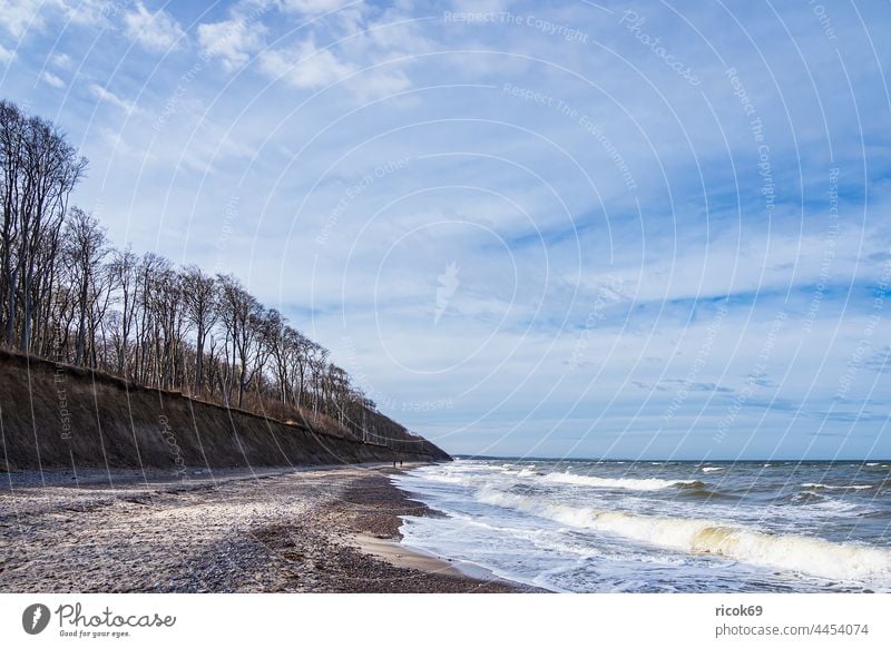 Baltic Sea coast at the ghost forest near Nienhagen Beach Ghost forest Forest trees Nature Landscape Baltic coast Ocean Waves vacation