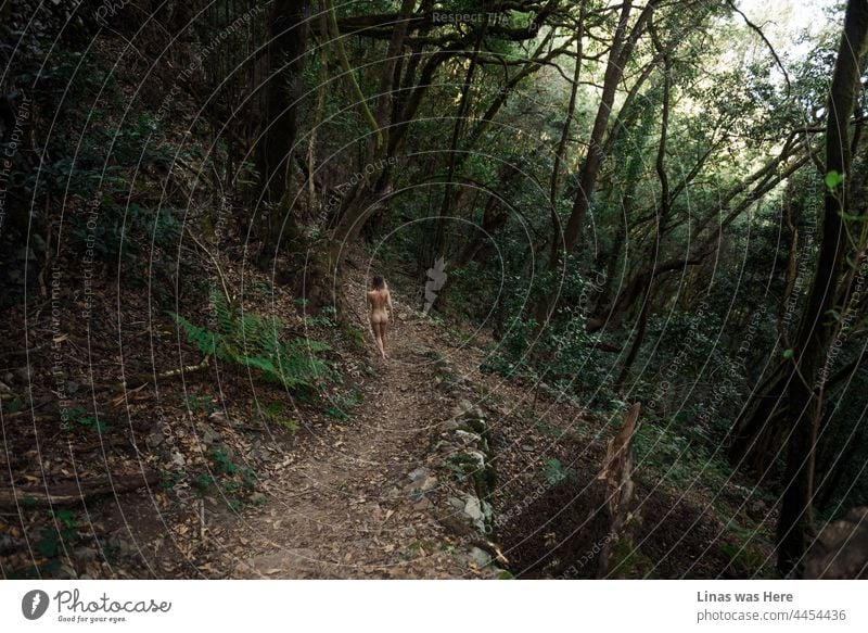 These woods are roamed by wild and naked girls. Our gorgeous nude model is exploring these jungles based in La Gomera, Canary Islands. Bootylicious image is full of sensuality and a holiday breeze.