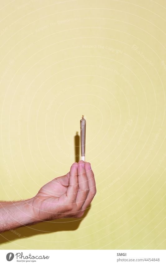 Vertical photograph of a hand holding a cannabis joint on yellow background. drug medicine medical legal therapeutic hemp green herbal narcotic health marijuana