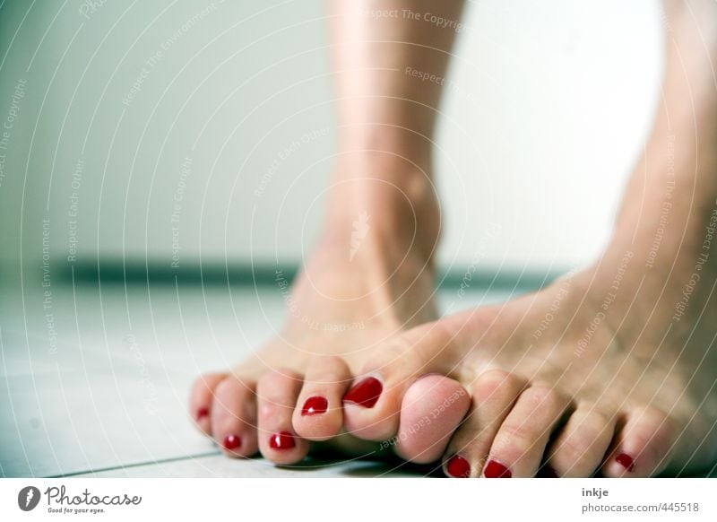 um, yeah, well..... so eiiiinklich.... No way! Lifestyle Style Beautiful Personal hygiene Pedicure Nail polish Woman Adults Feet Women`s feet 1 Human being