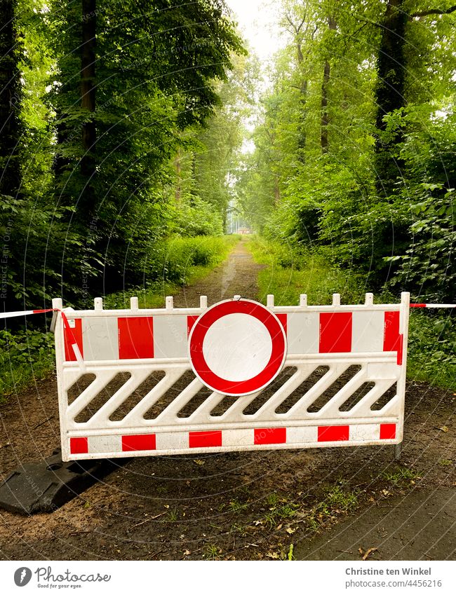 The footpath in the forest is closed off with a barrier and flutter tape. blocking forest path Promenade interdiction Lanes & trails Footpath Countdown marker