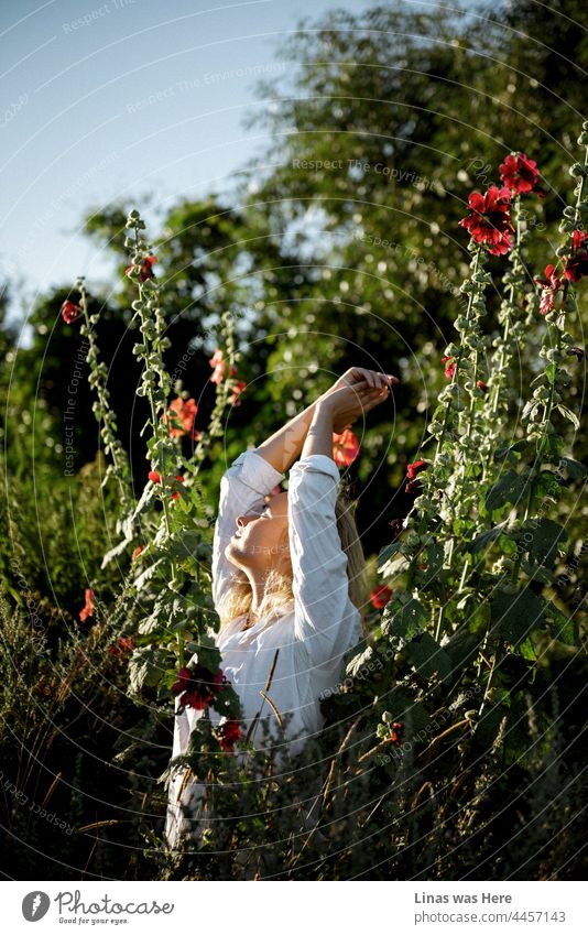 A perfect summer’s day for a joyful chill in the green nature. A gorgeous blonde girl dressed in a white shirt is feeling happy and relaxed between the flowers. Summer happiness and nature’s endless beauty in this image.