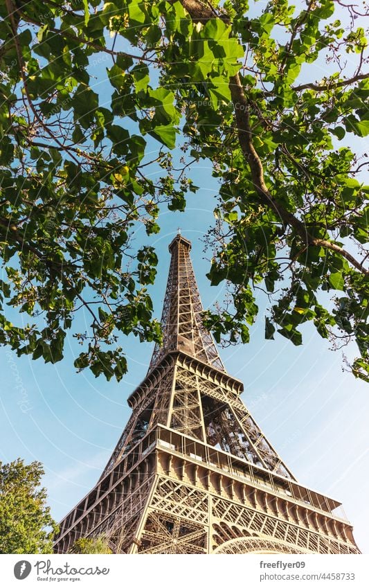 Eiffel tower from below with trees Tower sunset copy space tourism Paris France travel monument nobody structure international europe european no people metal