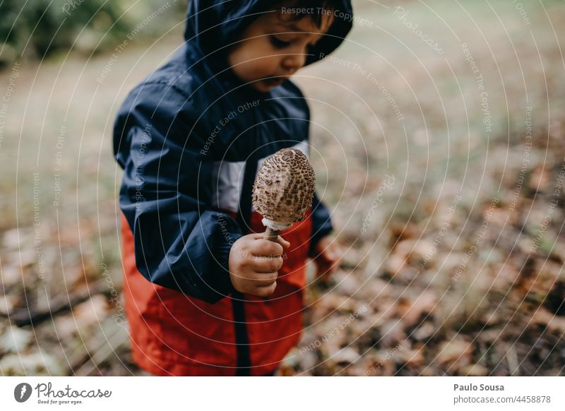 Child holding mushroom Mushroom Mushroom cap Autumn Authentic Forest Food fall Green Day Exterior shot Environment Close-up Colour photo Nature childhood