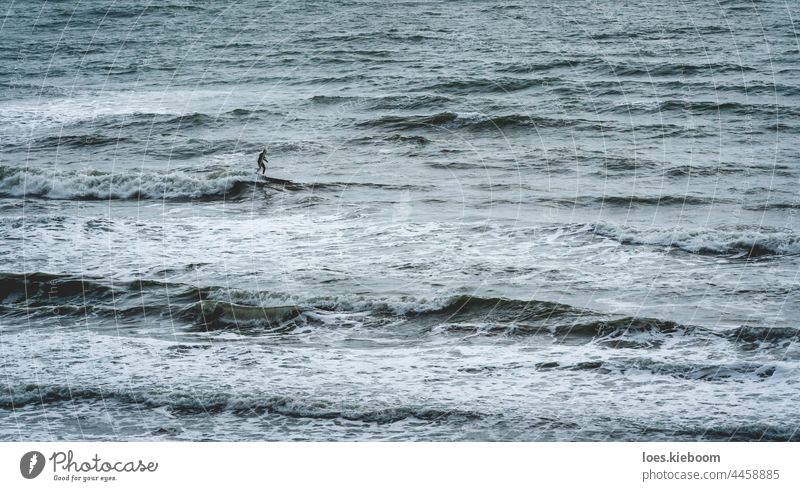 Sihouette of a stand up paddle surfer in a rough ocean in Daimus, Spain silhouette sport board man fitness beach water person summer nature stormy sea surfing