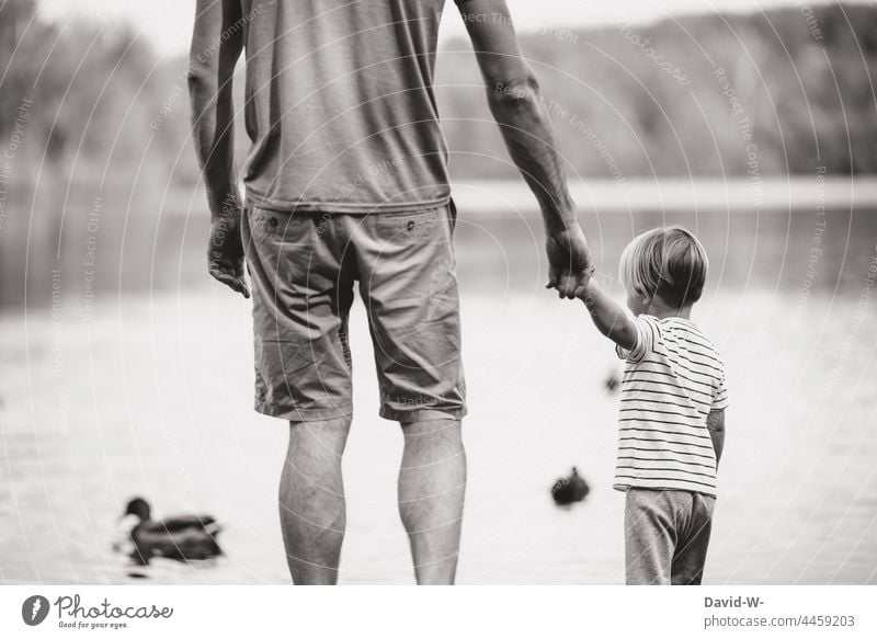 Father and child - hand in hand Child Hold hands To hold on at the same time in common Considerate dad Trust Son Love Lake Nature