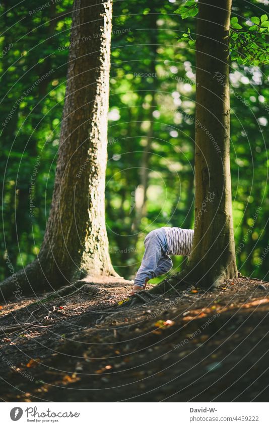 Child playing hide and seek in the forest Infancy Playing Forest Hide Funny Tree Nature Joy fun wittily Cute out