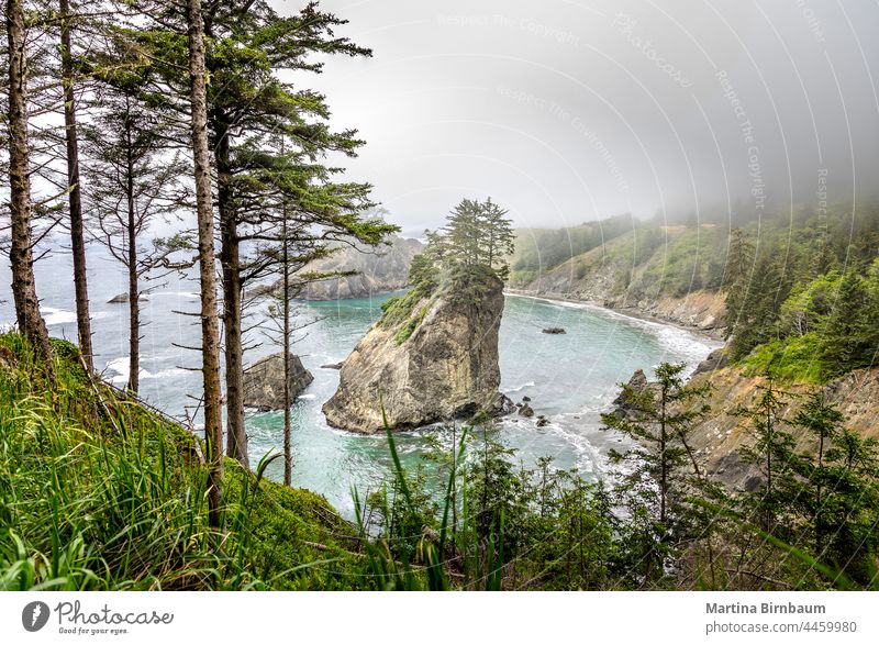 Arch Rock area on the Oregon coast on a hazy morning arch rock fog mist haze oregon coast state scenic corridor highway 101 landscape travel hiking nature park