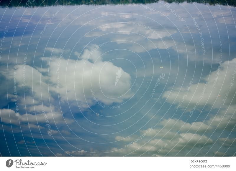 Clouds reflected from large pond Reflection Lake Water Sky Nature Water reflection Calm Idyll Shore line Beautiful weather Franconia Surface of water Peaceful