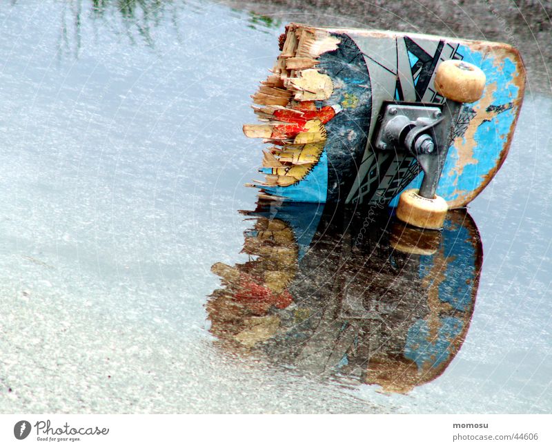 broken board Reflection Broken Sports Skateboarding Water Varnish Wheel