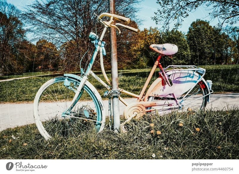 colorful bicycle chained to a streetlight Bicycle Prismatic colors lgbtqi lesbian and gay movement LGBT Homosexual Rainbow Equality Love Freedom variety