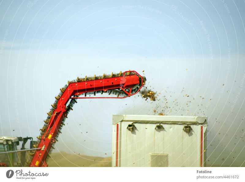 The harvester throws the harvested potatoes into the truck driving alongside. Harvest Field Sky Agriculture Nature Landscape Exterior shot Agricultural crop