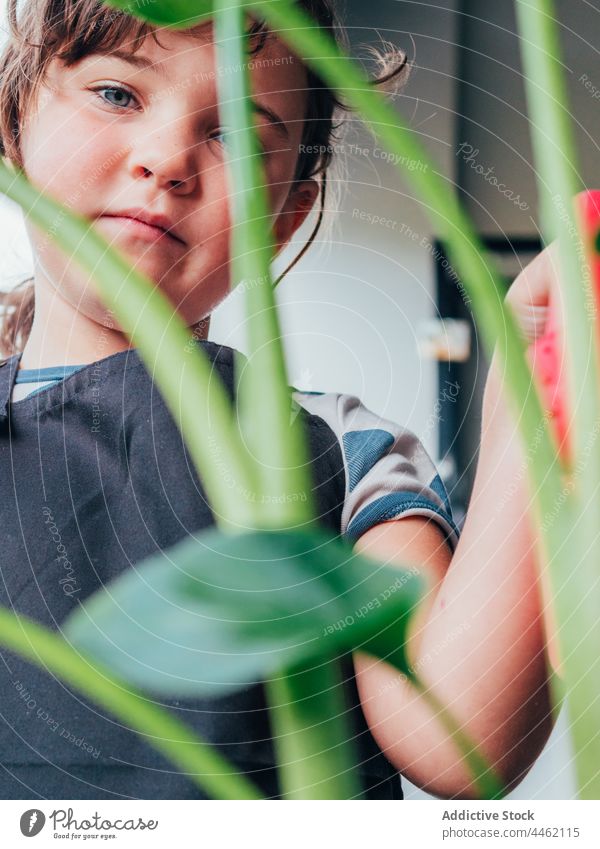 Girl between the branches of a plant girl show leaf child hill flora botany kid daylight green environment fresh childhood growth organic daytime natural