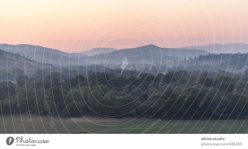 farsightedness Landscape Freedom Haze Fog Fog bank Cloud forest Tuscany Italy Mountain Nature Dawn Dusk Morning fog Far-off places Hill Hiking Mountain hiking