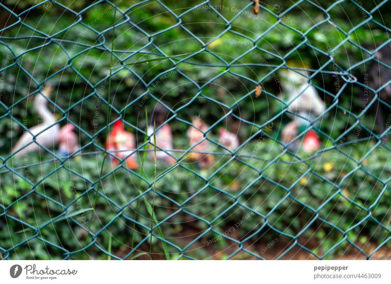 Garden gnomes behind a fence - Fabulous Garden Gnome Dwarf Kitsch Santa Claus hat Exterior shot Decoration Cap Petit bourgeois Whimsical allot settlement