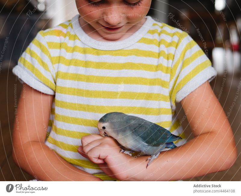 Smiling boy with small domestic parrot on hand owner bird lovebird curious pet interest positive specie kid plumage little child avian feather animal home