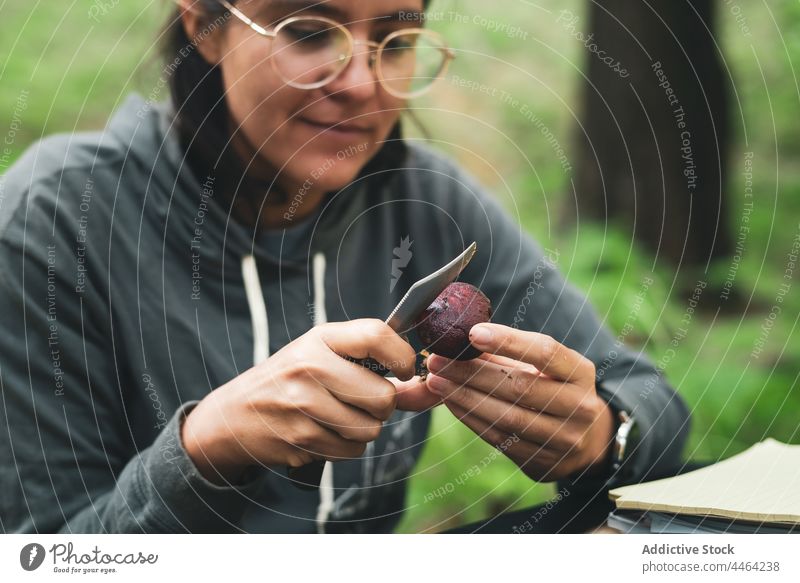 Female cutting mushroom in nature person grass mycologist fresh tasty organic environment scientist countryside plant natural knife pick clean research table