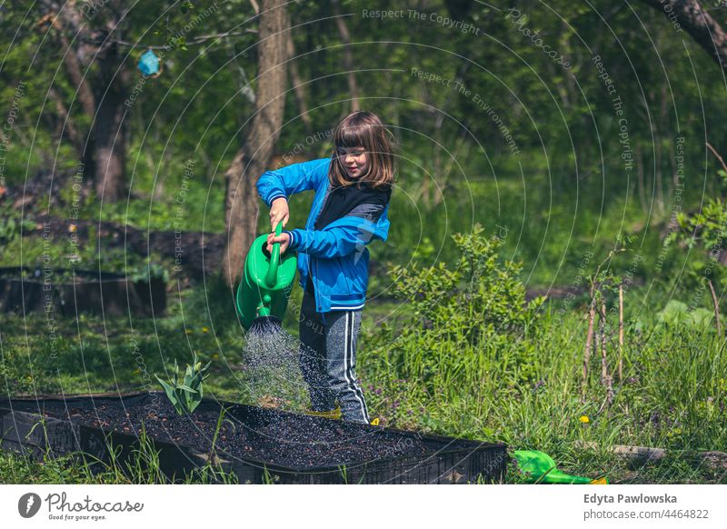 Girl watering plants in the community garden allotment beds kids city agriculture natural vegetable patch outdoors container grow environmental sustainability