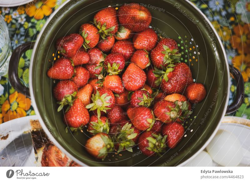 Colander full of ripe strawberries berry fruit spring healthy eating sunlight wet taste aromatic outside fragrance summertime nobody washed strainer clean table