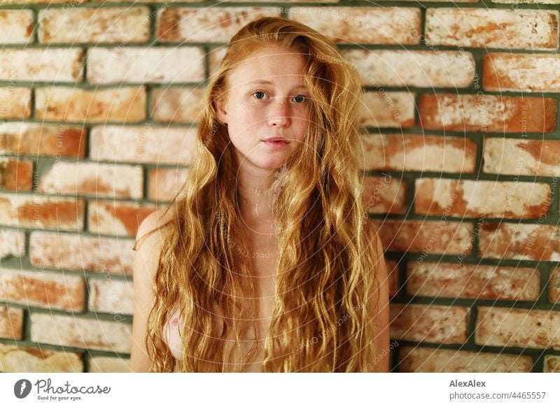 Close up of naked young woman with freckles and red hair portrait Near proximity Emanation tranquillity vigorous pretty Youth (Young adults) Adults Red-haired