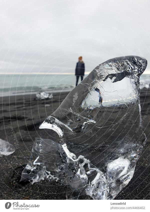 Transparent glacial ice washed ashore at Diamond Beach, Iceland, with a person in the background beach black beach black sand blue clear climate climate change