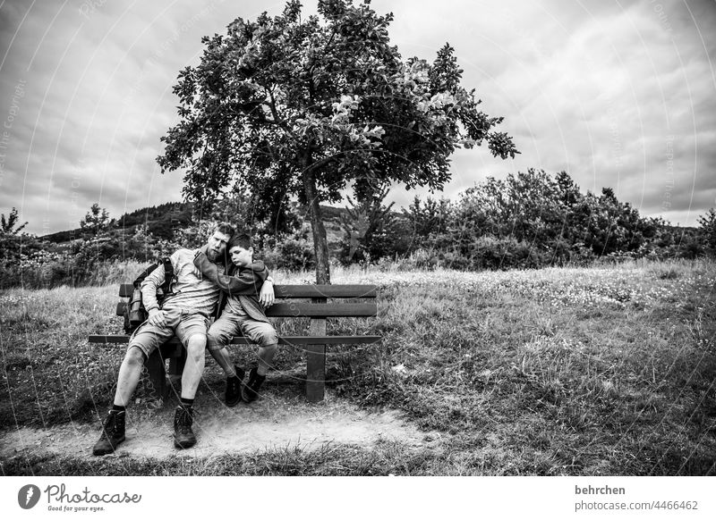 let yourself fall. i'll hold you tight and safe. just trust me! Bench Tree Landscape Embrace To hold on Love Affection Parents Trust Boy (child)