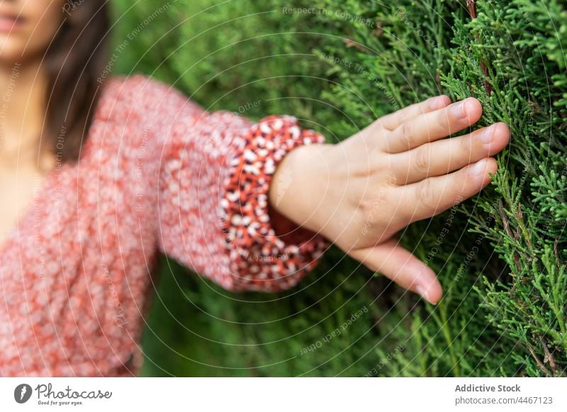 Female standing near bush in nature woman green calm plant flora park dress floral female daytime brown hair touch tranquil feminine environment natural