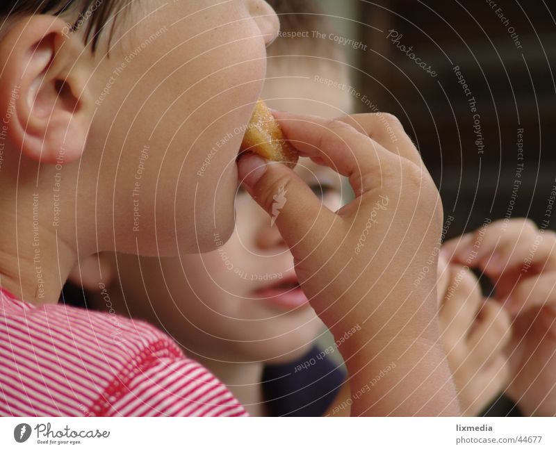 enjoy your meal Candy Jam Nutrition Child Mouth Delicious Sweet Appetite Break Donut Colour photo Exterior shot