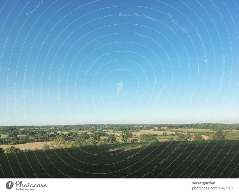 Hills in the shade without clouds Schleswig-Holstein Landscape Meadow Lawn Horizon Exterior shot Colour photo Nature Sky Deserted Vacation & Travel Blue Day