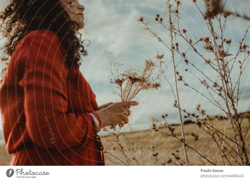 Woman picking dried flowers one person Flower Dried Dried flower Autumn Authentic Plant Nature Dry Romance Loneliness Love Delicate Decoration Blossom