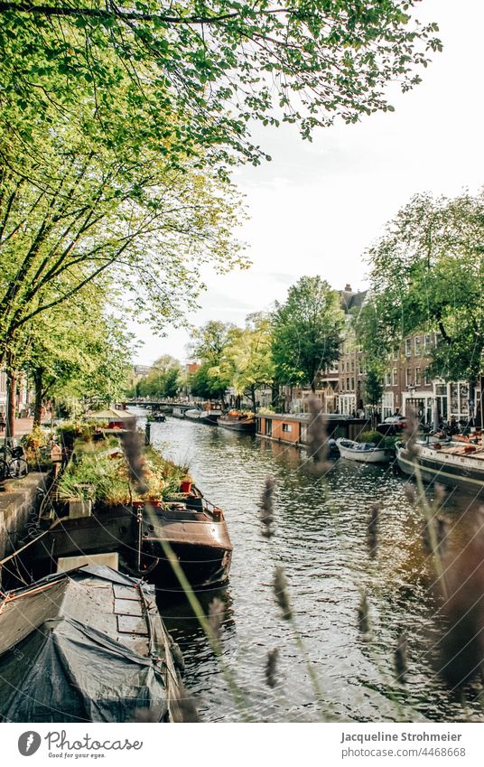 View of houseboats in the Prinsengracht, Amsterdam, Netherlands Berensluis dutch Gracht Houseboat Houseboats Channel De 9 Straatjes De Negen Straatjes