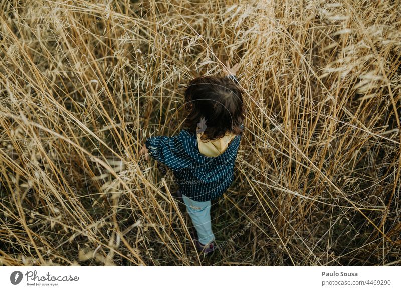 Child walking through the fields childhood view from above Bird's-eye view Field Grass explore grass summer bird's eye view Nature Meadow Colour photo