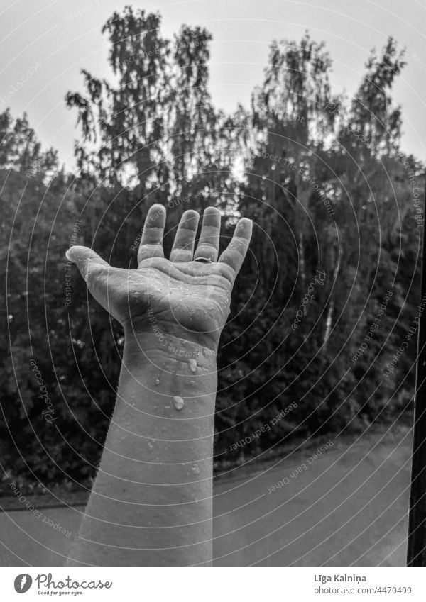 Hand in rain Fingers Human being Arm body part Minimalistic Palm of the hand Body Skin wrist Rain raindrops rainy catching enjoying Wet Water