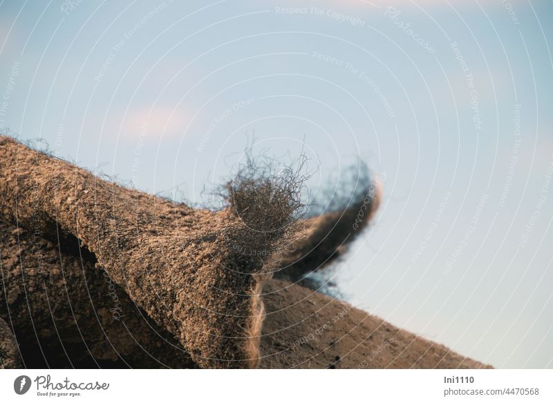 frayed fibres of a plant mat Borkum Plant mat fibers Close-up bank coastal protection Bank protection Fastening torn out Embankment protection Blue sky