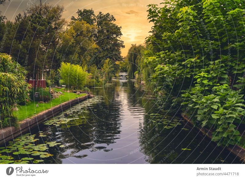 the channels of New Venice near Berlin Friedrichshagen in the evening beautiful berlin bridge calm canal europe germany green home idyllic landscape lifestyle