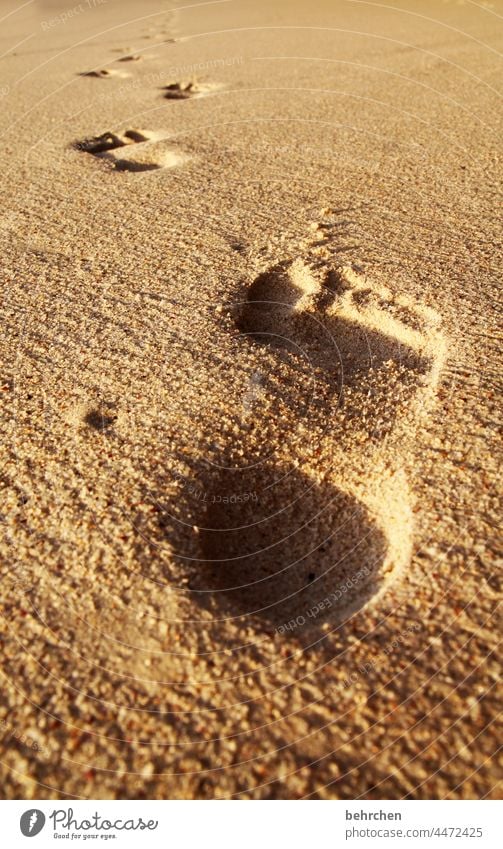 I was here! Exterior shot Day Colour photo beach sand Praslin Seychelles Island Beach coast Ocean Summer vacation Freedom Vacation & Travel Tourism