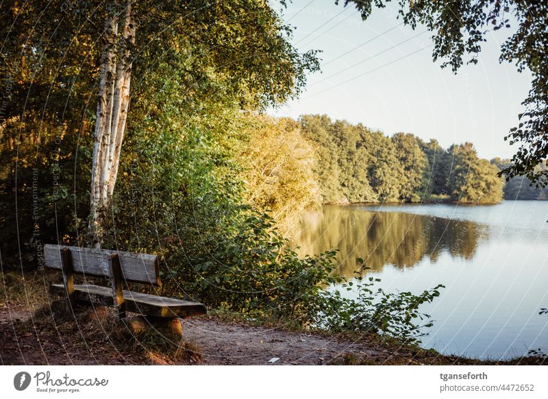 Park bench by the lake in the morning Lake Morning late summer late summerly Reflection in the water reflection Bench Seating tranquillity Calm Colour photo