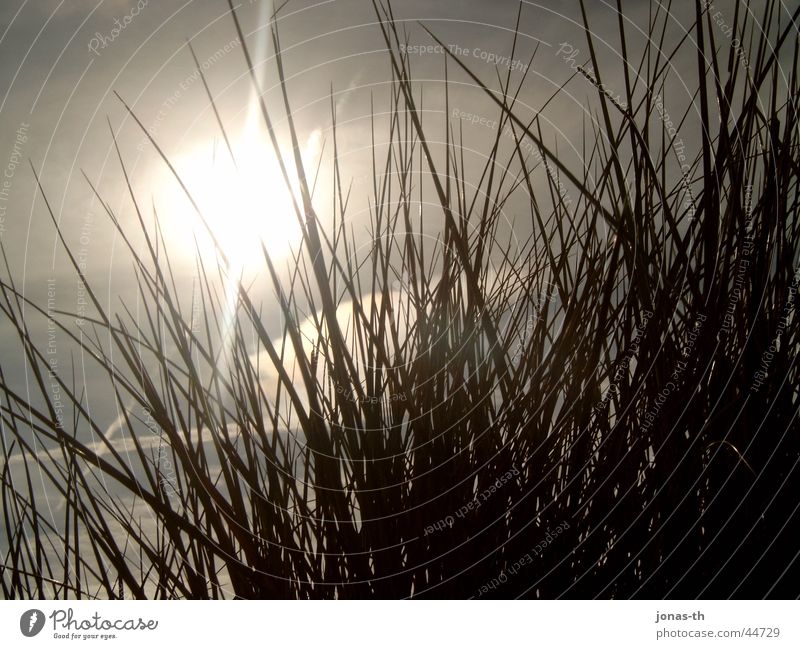 Sunset in spring Summer Beach Landscape Nature Sand