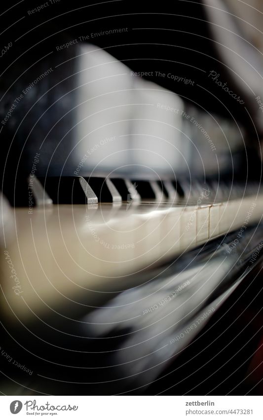 keyboard domestic music tool Keyboard Piano Music piano Private Room dwell room Grand piano STUFF WINGS Depth of field depth of field Ivory