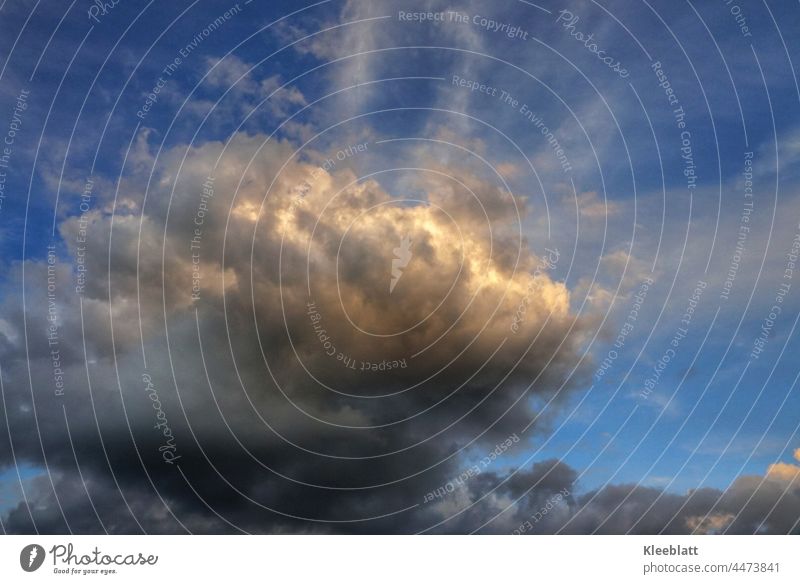 Inner glow - Evening rain cloud receiving its last rays from the sun. Raincloud Sky Colour photo Exterior shot Copy Space top Climate Nature Storm clouds