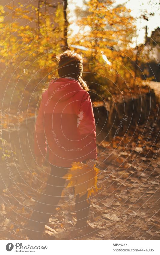 autumn walk Autumn Hiking Child foliage Autumnal Sunlight lens flair Autumn leaves Nature Autumnal colours To go for a walk autumn mood out being out Experience