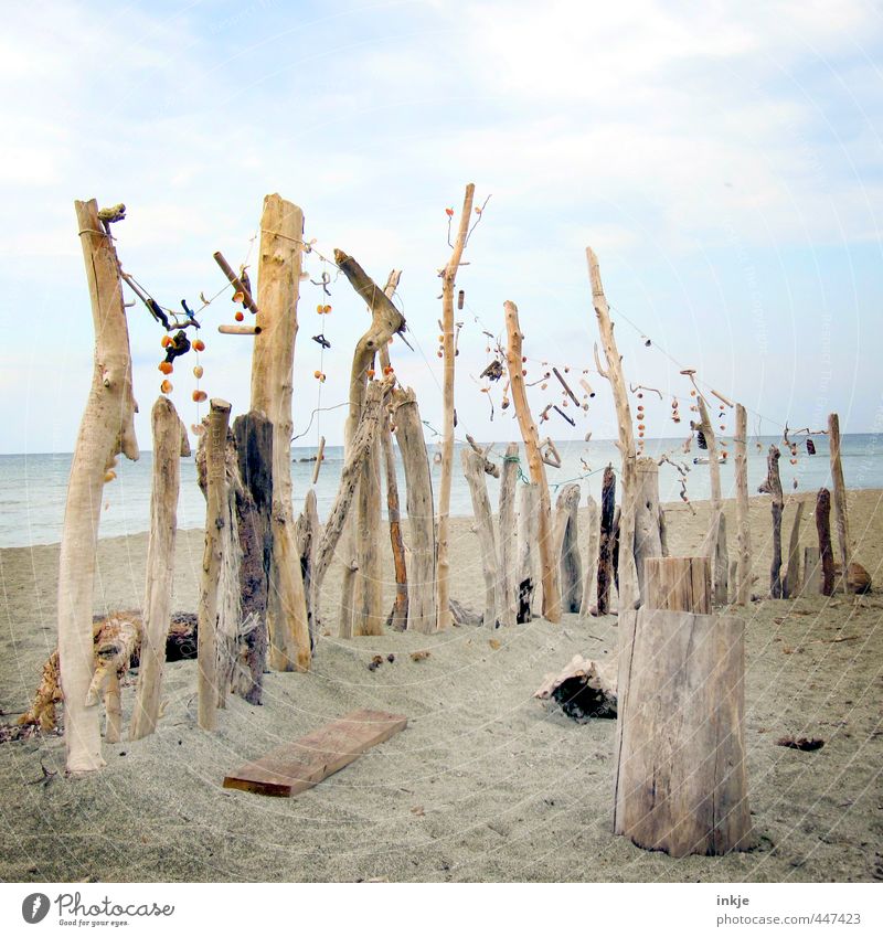 what was left of the summer Art Work of art Sculpture Environment Sand Water Sky Clouds Summer Beautiful weather Branch Tree trunk Stick Coast Beach Ocean