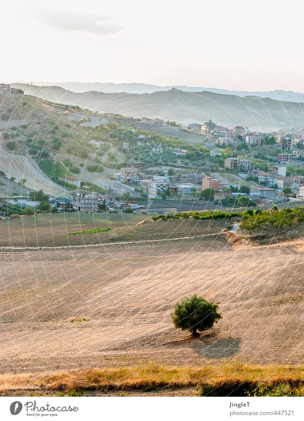 be good Vacation & Travel Freedom Summer Summer vacation Environment Nature Landscape Plant Sky Tree Hill Field pietraperzia Sicily Village Relaxation Esthetic