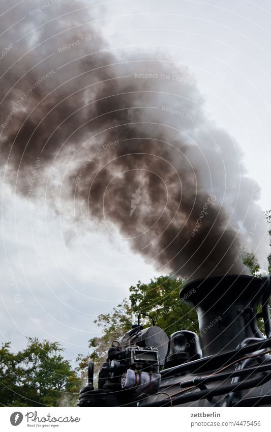 The Rasende Roland under steam Train Track Engines loc Steam Locomotive Steamlocomotive Narrow-gauge railroad scurrying good for the monk Transport Smoke smoke