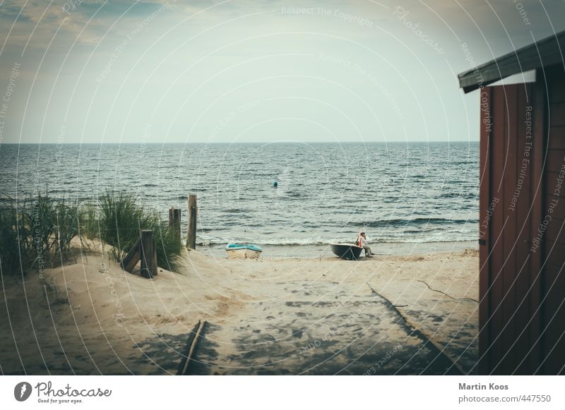 By the sea Dune Coast Baltic Sea Ocean Beach dune Boathouse Hut Fishing boat Rowboat Retro Subdued colour Exterior shot Copy Space top Central perspective