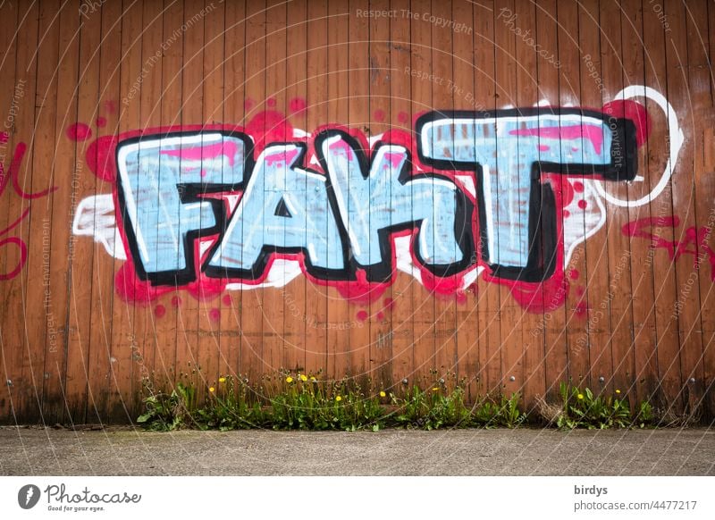 Fact - colorful graffiti on a red wooden wall fact Graffiti Characters in point of fact Really truthfully facts de facto street art Youth culture Word