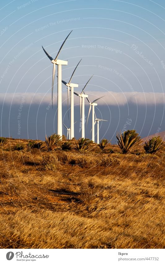 africa wind turbines and the sky in the isle of lanzarot Plate Vacation & Travel Renewable energy Wind energy plant Nature Plant Sky Clouds Gale Grass Hill